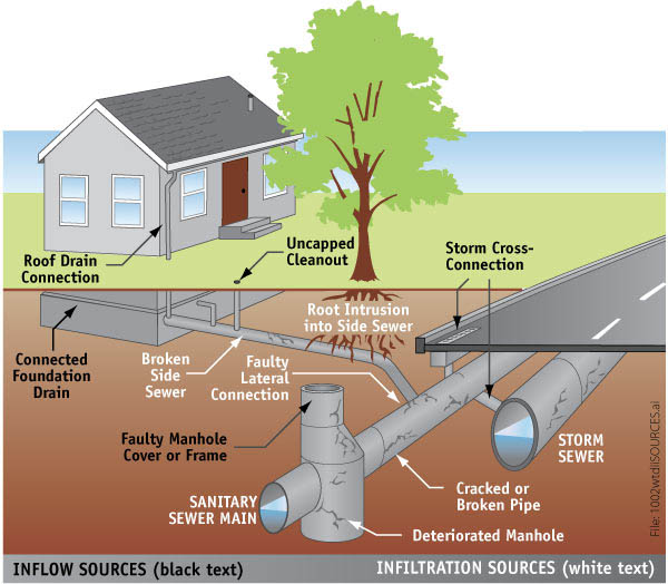 Culver+City%3A+Dog+Rescued+from+Storm+Drain